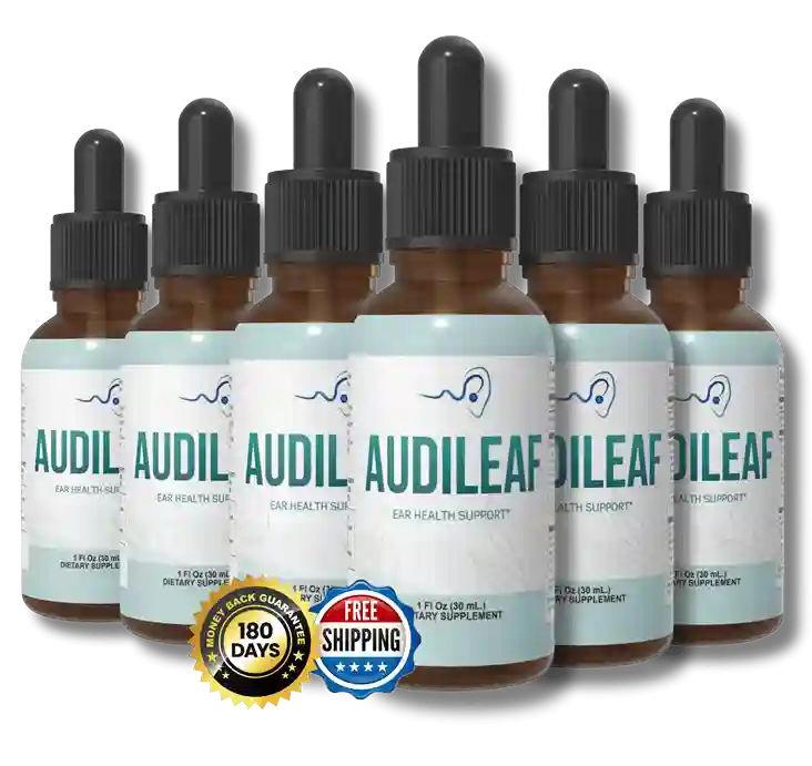 AudiLeaf Buy